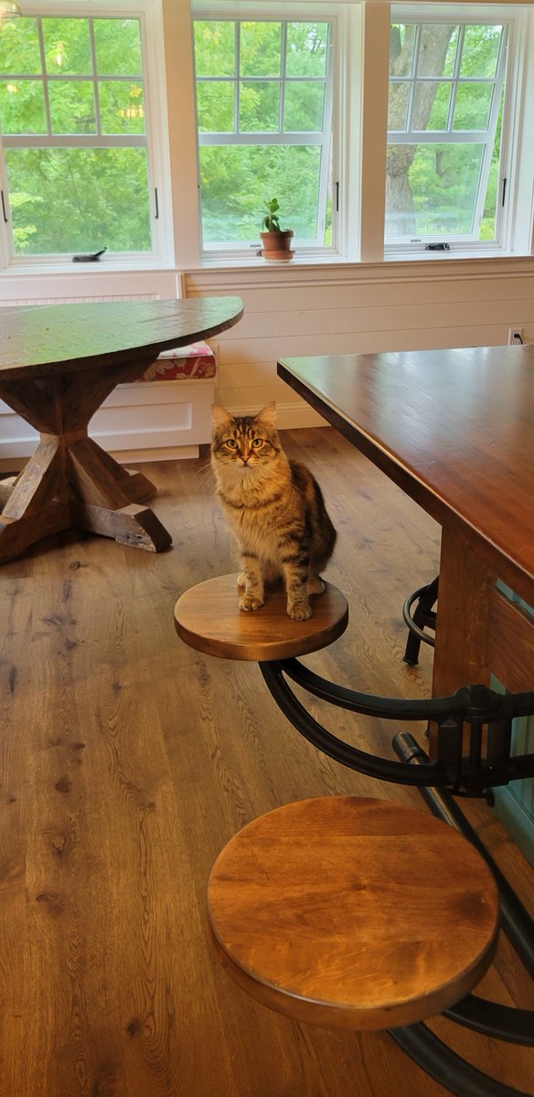 GetBackInc1's tweet image. Swing-Out Seat Kitchen Installation

getbackinc.com/product/get-ba…

#coffeeshopseating #kitchenseating #restaurantseating #counterseating #swingseats #swingawayseats #foldingseats #islandseating #homebar #barseating