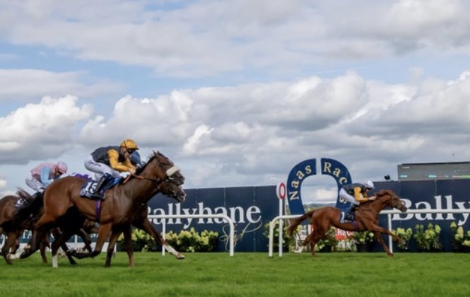 JoeFoleyBally's tweet image. Thanks to all the team @NaasRacecourse for a great day’s racing yesterday and to @hpalmerracing @kevinryanracing @BenCoen2 and Shane Grey for providing the Bronte Collection with an incredible memory!! #buzzing