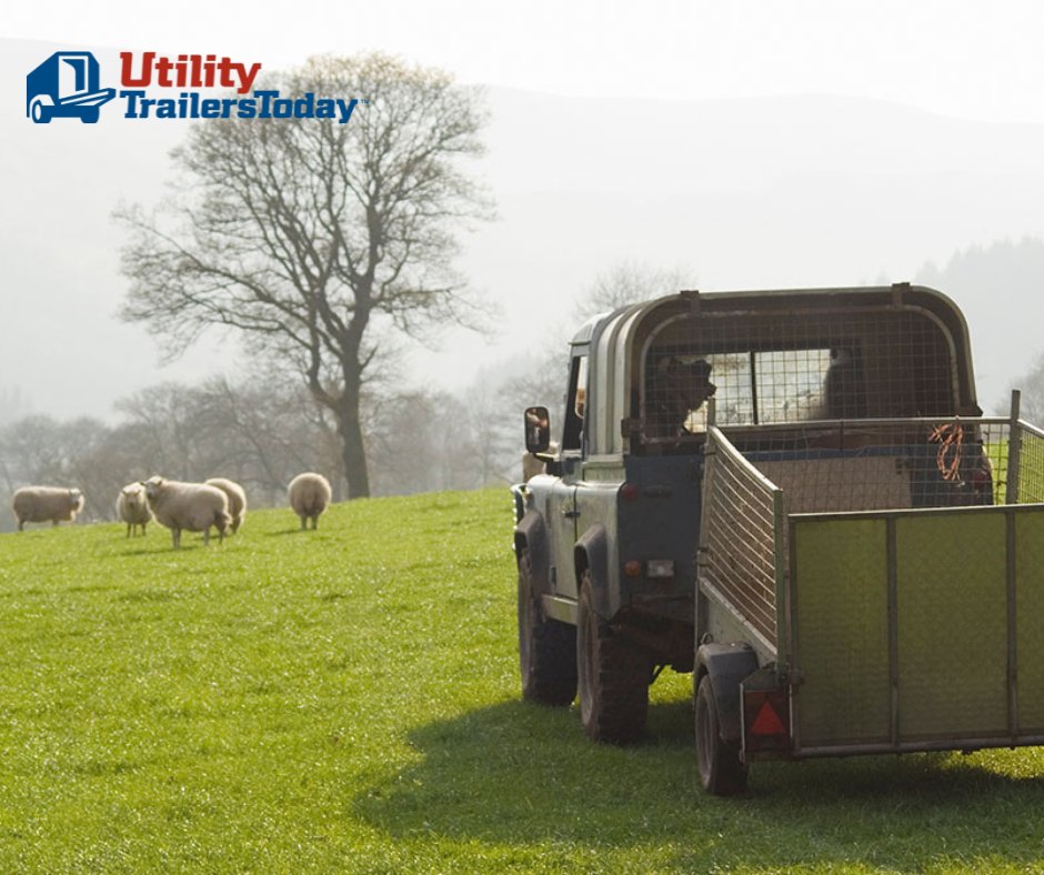 Buying Or Selling Utility Trailers? UtilityTrailersToday.com Has You Covered! Read more about their benefits for buyers and sellers!
👉 ow.ly/1Vhy50PvhMU

#trailers #buy #sell #utilitytrailers