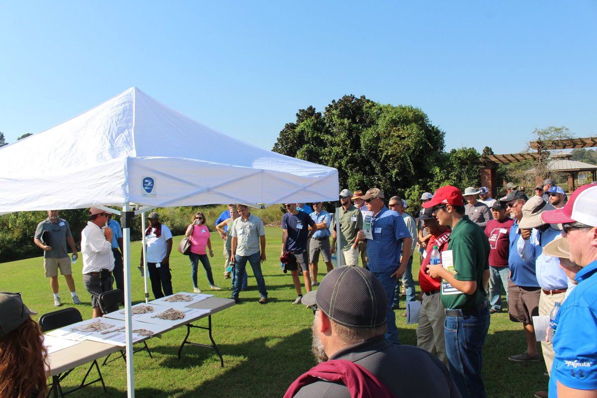 #MSUTurfFieldDay23 is officially approved for continuing education in:
Alabama - 10 credits
Arkansas - approved
Mississippi - approved
Tennessee - 6 credit hours

Trying for GA, FL, TX, and LA (why won't you return my calls, LA?!). GCSAA - applied for, not yet approved.