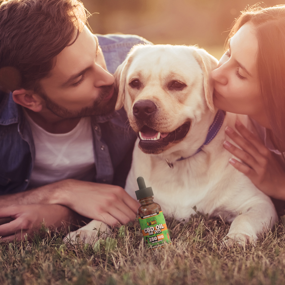 HempBombs's tweet photo. Share the love and wellness with your furry friend! Our Pet CBD Oil is a paw-some way to support their overall well-being.
#cbdpets #cbdfordogs #hempoil #pets https://t.co/GrjhRfxuzq