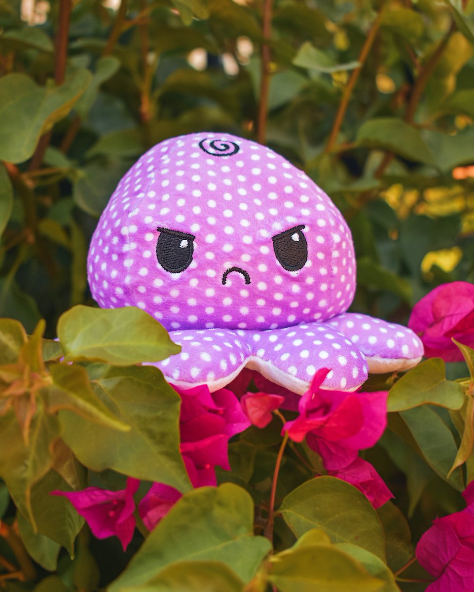 TeeTurtleHQ's tweet photo. NEW reversible octopus plushie spotted 💜 Flip this little friend inside out to express how you’re feeling!!
____________________
#teeturtle #toys #plushie #plushies #reversibleplushie #reversibleplushies #octopus #octoflip #octo #cute https://t.co/QgUNGaLSIy
