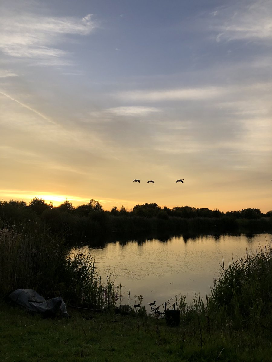 EraFishing's tweet photo. Come on the carp gods #fishing https://t.co/aowzbsxD1S