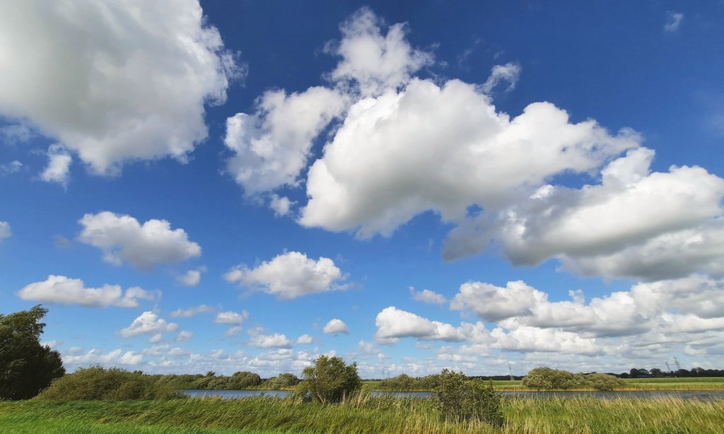 klaaswillemb's tweet photo. Great skies this evening ! #landscapephotography #paisajes #WeatherUpdate #August2023 #cielo #easterskar #Friesland #SummerVibes https://t.co/NJouHgJggy