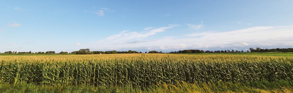 klaaswillemb's tweet photo. Great skies this evening ! #landscapephotography #paisajes #WeatherUpdate #August2023 #cielo #easterskar #Friesland #SummerVibes https://t.co/NJouHgJggy