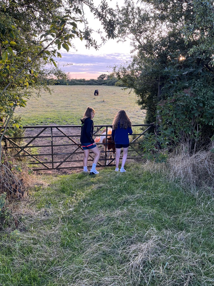 Managed to get these beauties out again tonight, fresh air, dramatic skies, love the summer holidays!! #proudmummy #mumdaughtertime