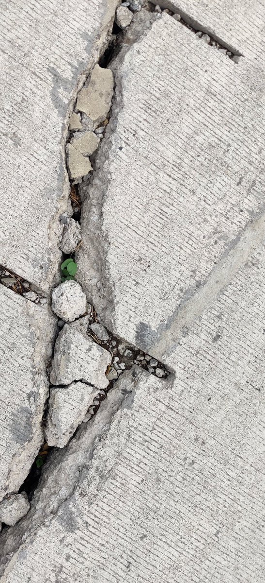 JayeshKomalwar's tweet photo. Honourable @nitin_gadkari Concerned about the deteriorating state of National Highway 752I. 
Experienced a close call today while riding my bike due to the road's poor condition. Urgently requesting @NHAI_Official to address this issue to prevent potential accidents. #RoadSafety https://t.co/ER7Eg5GbOD