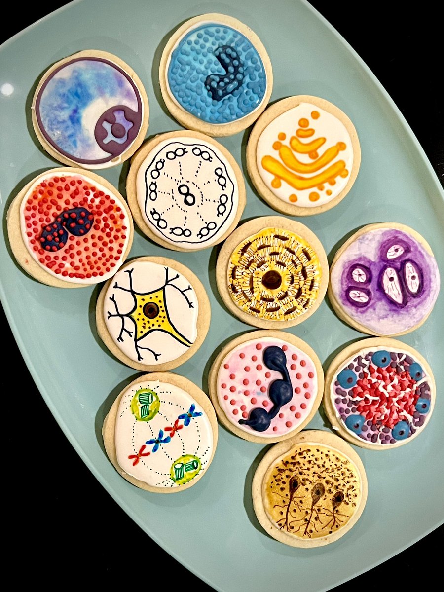 Natalie Langley tweet media