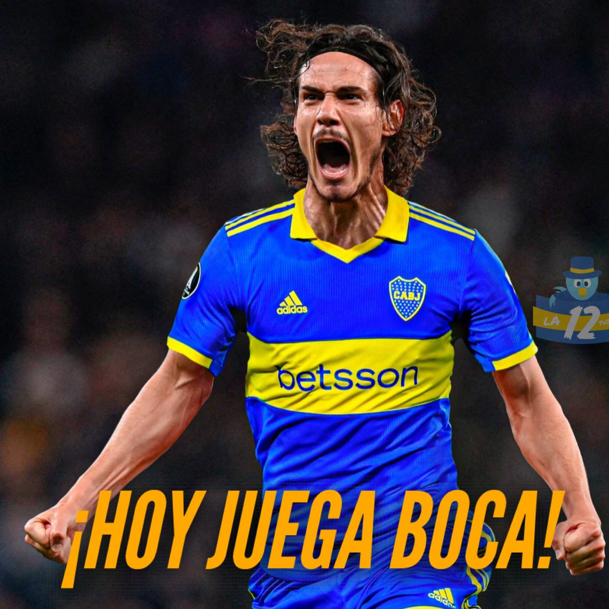 la12tuittera's tweet photo. ¡HOY JUEGA BOCA! 💙💛💙 https://t.co/GWrK2NghBZ
