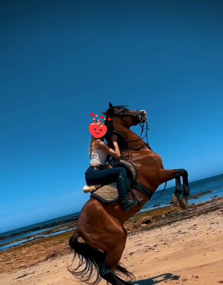 At'ı severim, at'a binmeye  bayılıyorum🐎🐎🐎🐎 at gibi olanlar nerdesiniz????!!!!