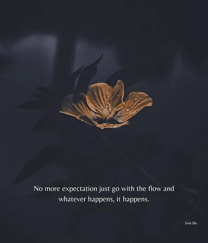 Zoltium (@zoltiumhq) on Twitter photo 