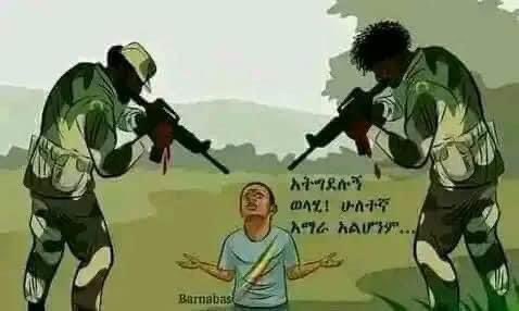 SuleimanAbdell7's tweet photo. The world needs to know that the growing Fano struggle is for the safety and security for their families of farmers. They are bearing the brunt of an invasion by a proffessional army the Ethiopian gov’t has ordered to accomplish the mission of #AmharaGenocide #JusticeForEthiopia
@BBCAfrica @antonioguterres @CNN @AJEnglish