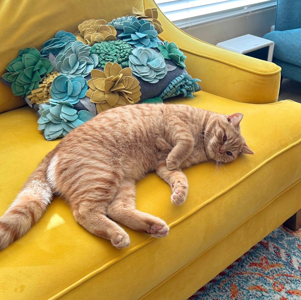 Apt2B | Furniture Built to Last tweet media