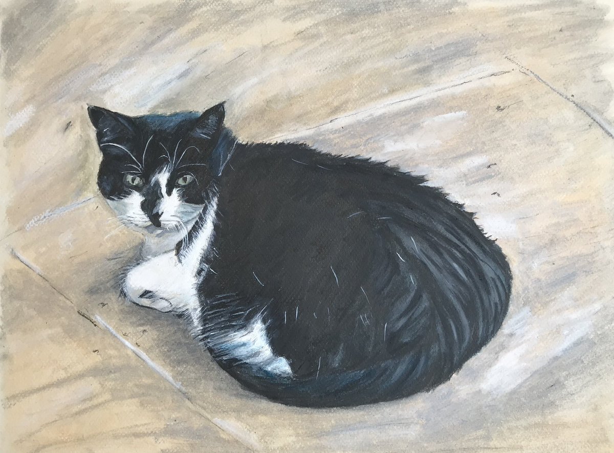 Elizabeth Jane Lee tweet media