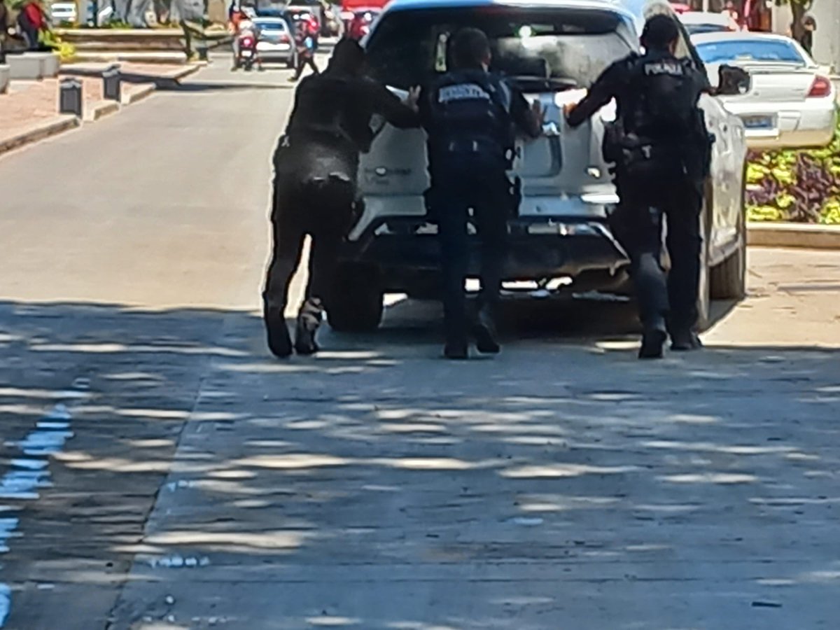 SSeguridadJal's tweet photo. Policías del Estado brindaron apoyo a una mujer adulta mayor, cuyo vehículo presentó fallas mecánicas, mientras circulaba en la zona Centro, en #Chapala. #NosCuidamosTodos🤜🏻🤛🏻 https://t.co/eHRSh0PoGq