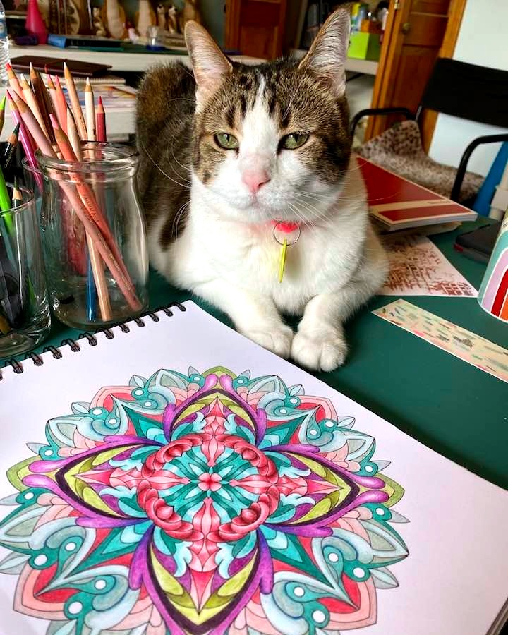 coloritcom's tweet photo. This Mandala is approved and signed by the meownager. Happy Cat Day from Carolyn Thomas and her cat, Chrissy π±! #freeyourcreativity #worldcatday https://t.co/J2ceTIEkMu
