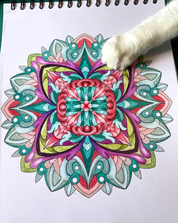 coloritcom's tweet photo. This Mandala is approved and signed by the meownager. Happy Cat Day from Carolyn Thomas and her cat, Chrissy π±! #freeyourcreativity #worldcatday https://t.co/J2ceTIEkMu