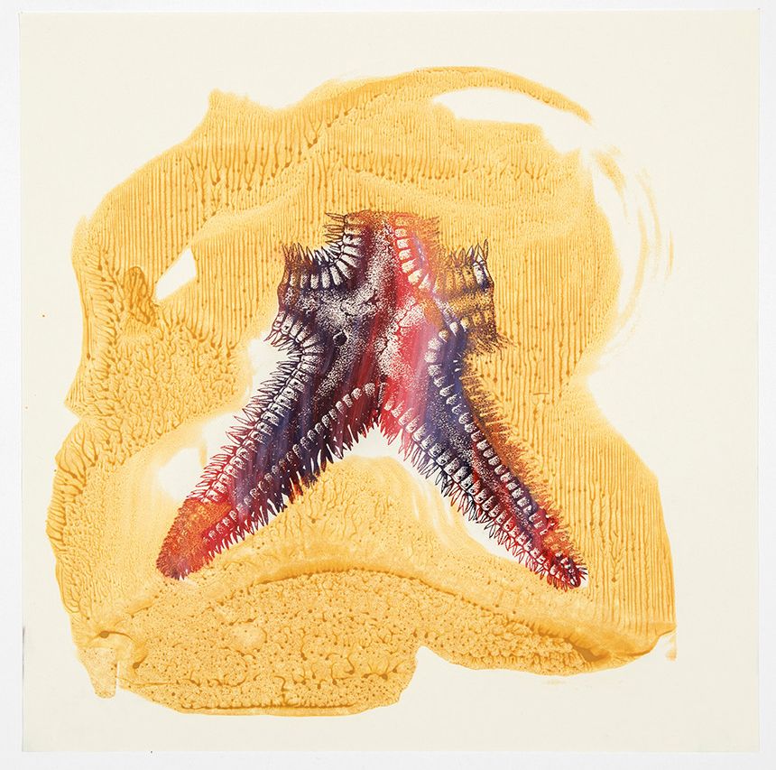 mailchi.mp/planthouse.net…