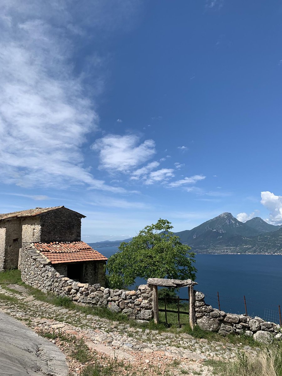 GardaOutdoors's tweet photo. Dalle sponde del lago ai 2200 metri del Monte Baldo, il comprensorio di #Brenzone sul Garda si estende in un’incredibile varietà di panorami, cultura, cibo e sport.
https://t.co/moc0KlZqo9 https://t.co/y5qKYfQCTX