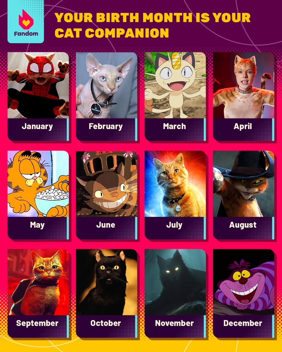 getFANDOM's tweet photo. Which kitty is curling up with you this #InternationalCatDay? ๐ฑ https://t.co/QhcU7bJijz