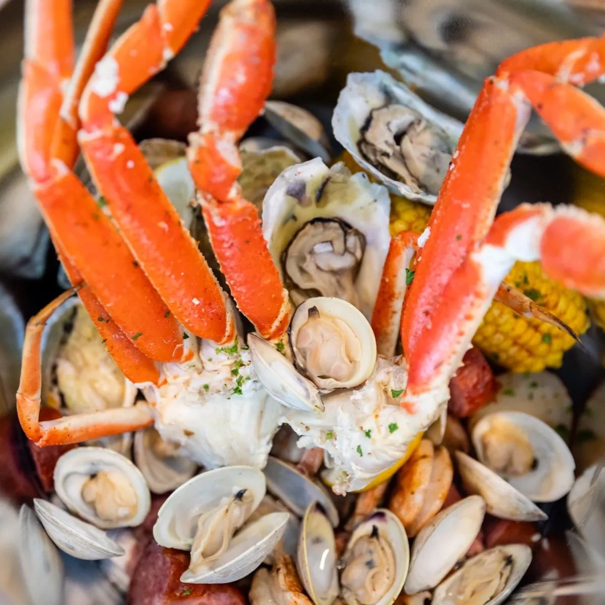 Stop by to savor the taste of fresh crab, handpicked from the depths of the sea. Dive into a sea of flavors at Tidewater Oyster Bar!