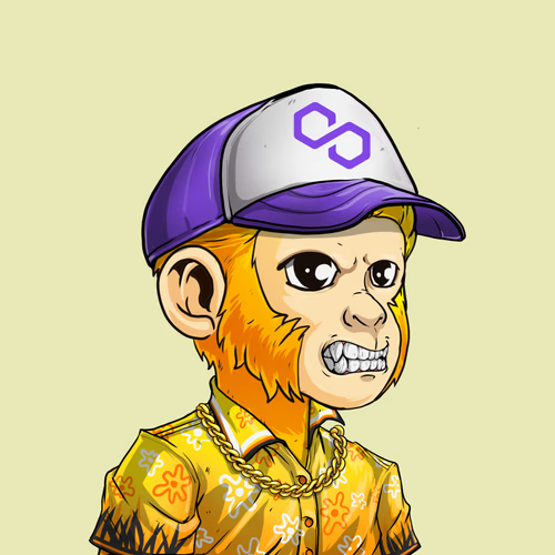JakeBalchNFT's tweet photo. Where my @PolygonMonkeys at?

Show me your chimps!

#nftcollector #Polygon #PolygonMonkeys https://t.co/9dj9GPhxwe