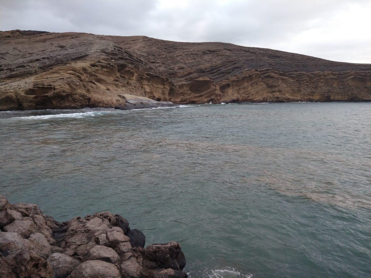 La orilla del mar en #elmedano #tenerife esta tarde. Las autoridades informadas desde al menos las 17h. Porque las playas siguen abiertas? #ecoli <a href="/cahora/">Canarias Ahora</a> <a href="/salvartejita/">Salvar La Tejita</a> <a href="/granadillaabona/">Granadilla de Abona</a>
<a href="/presican/">Presidencia GobCan</a> <a href="/CGPCanaria/">C.G. Policía Canaria</a>