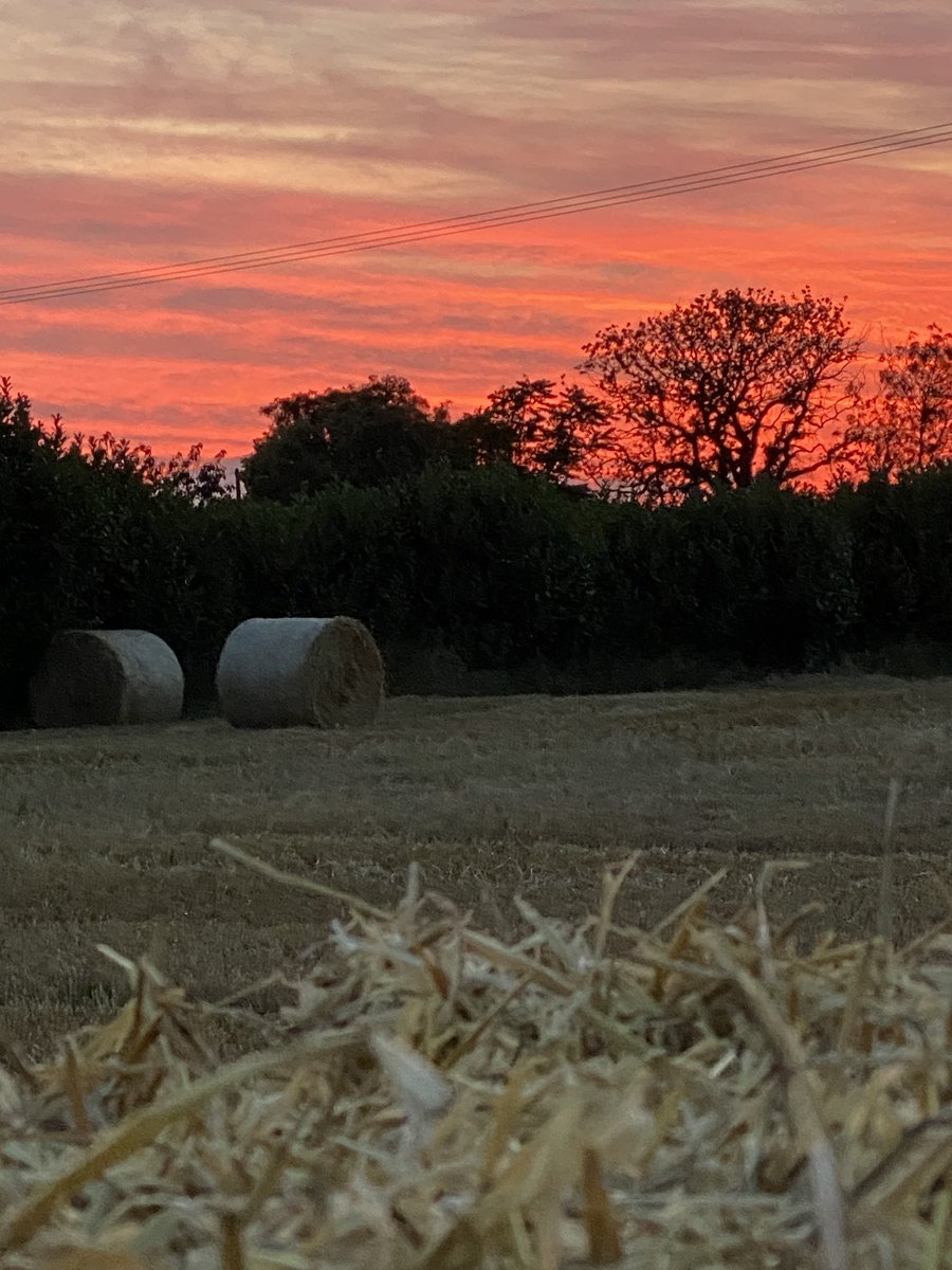 For the beauty of the skies…! #norfolkbroads #norfolkskies #harvest2023