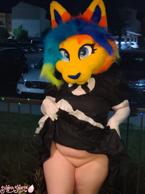 Happy International Cat Day!!!!  😻😻  If you like the view, &amp; ask real nice, maybe you can pet the kitty