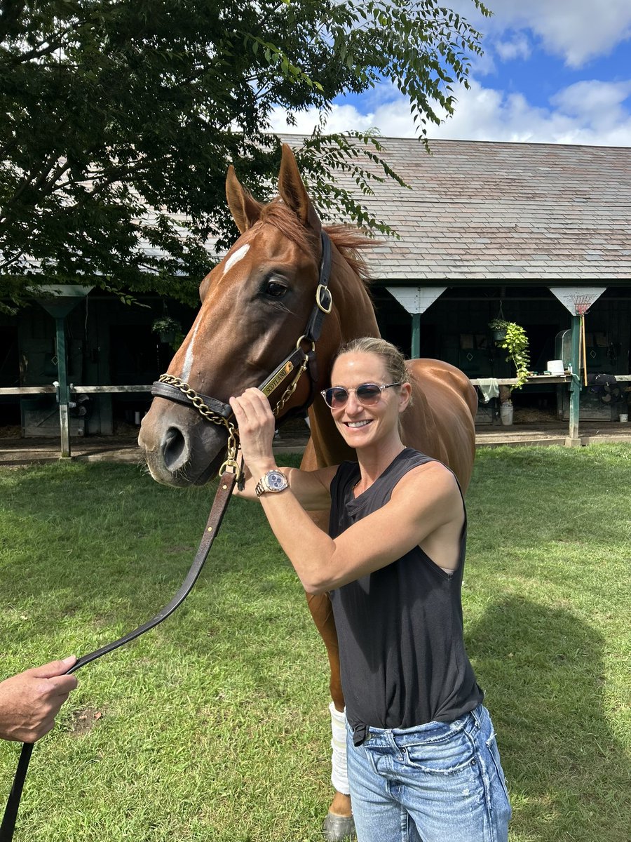 LNJFoxwoods's tweet image. SCOTLAND!! 🏴󠁧󠁢󠁳󠁣󠁴󠁿🪄💙💛
SUCH A SWEET, CHILL HORSE! 
LOVE YOU HANDSOME! 
@MadisonScott157 #homebred