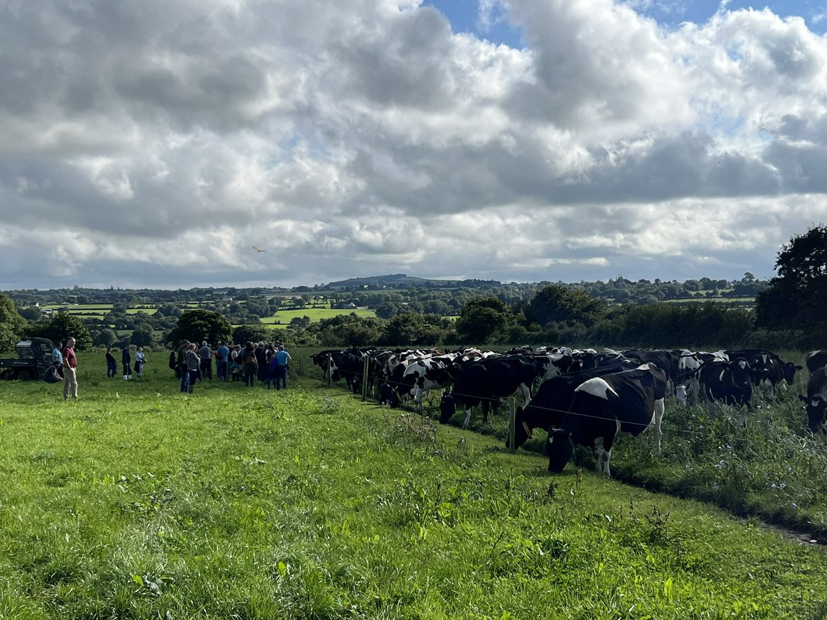 Kevin o Hanlon tweet media