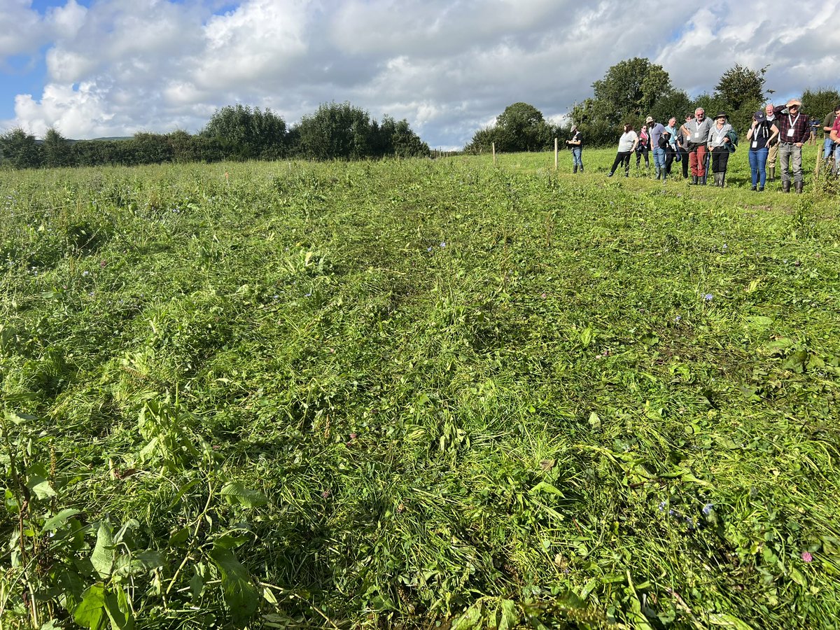 Kevin o Hanlon tweet media