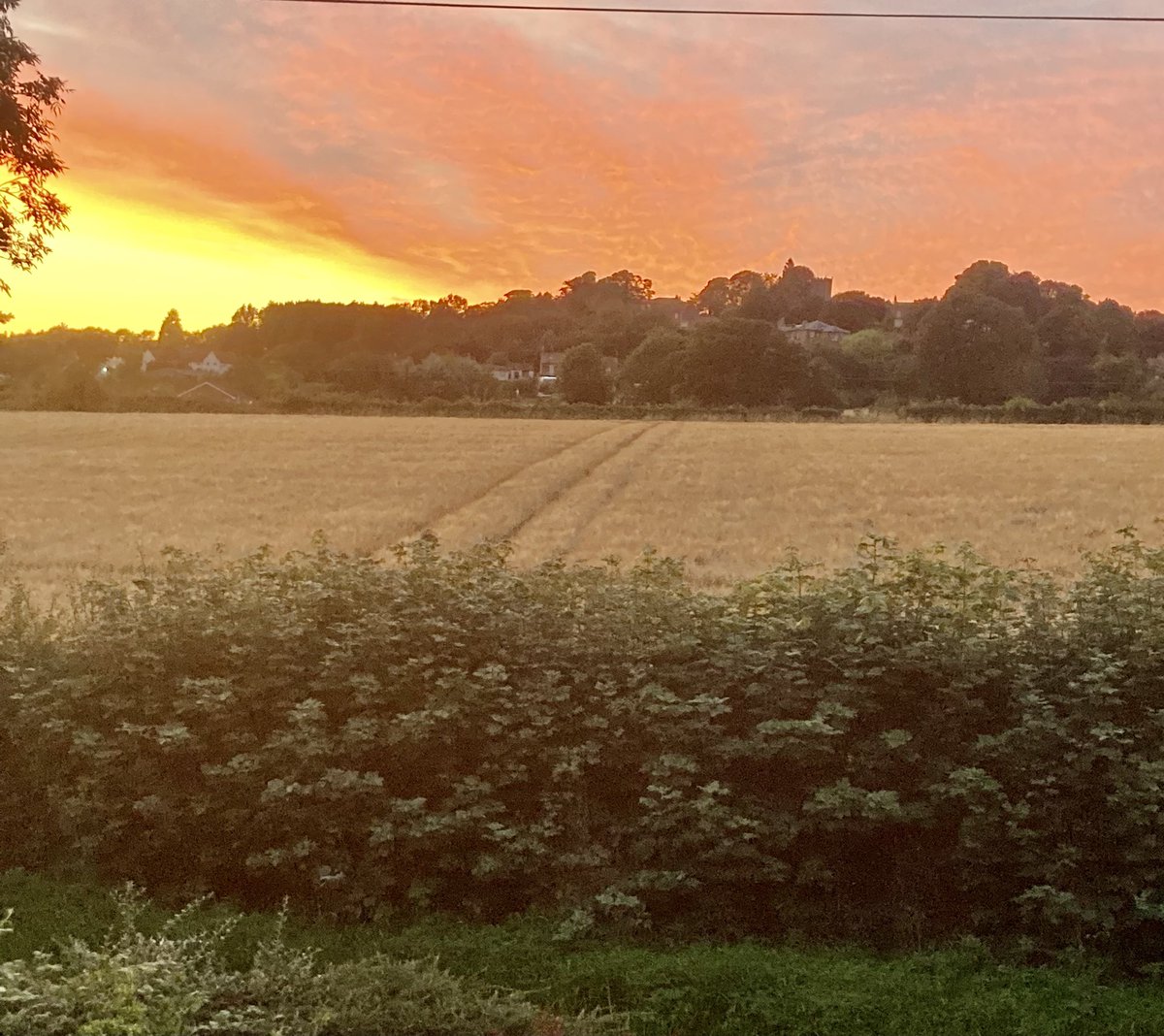 HazelwoodFarm's tweet image. A glorious evening after the most welcome return of the sun! #harvest23 #Crayke #northyorkshire