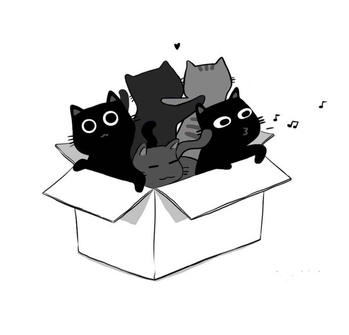 🐈‍⬛Happy International Cat Day, fam! #crazycatpeople from all around the world, unite!(and follow us 😸) 🐈 #CrazyCatDamsels #neko #kawaii #CatsOfTwitter