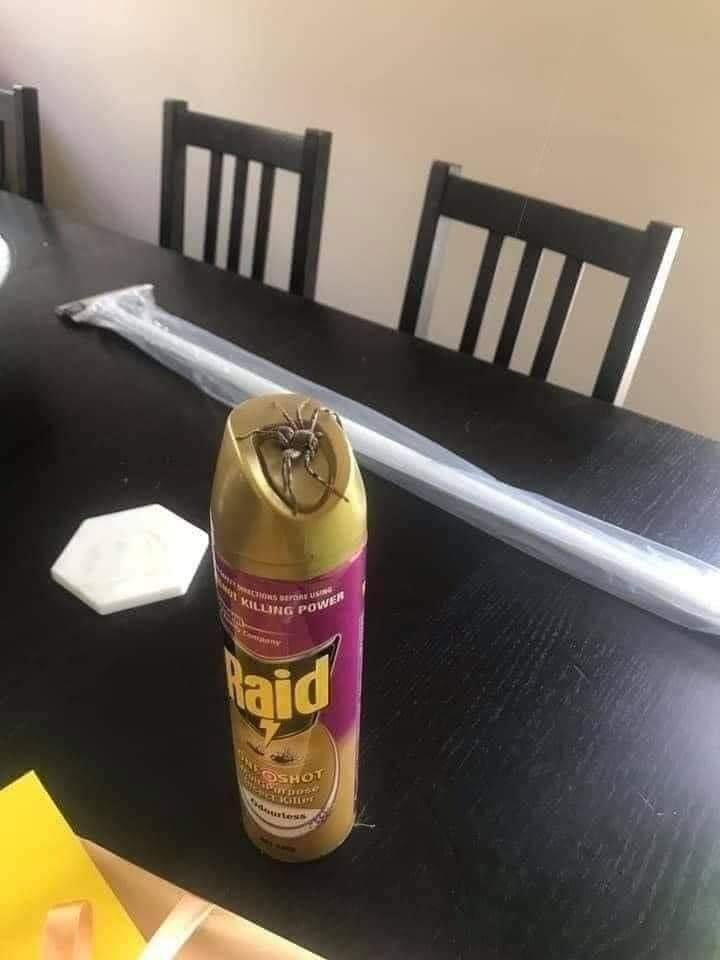 -Buscabas algo, padrino?