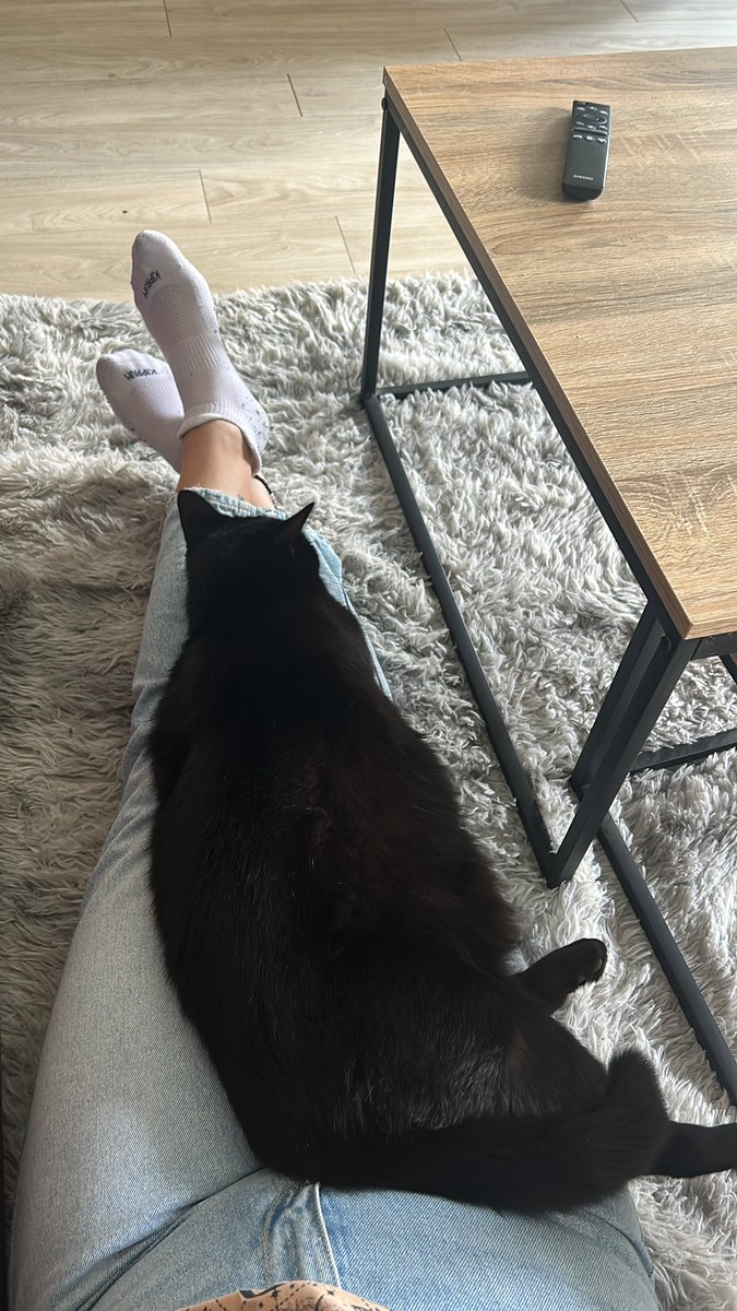 Lisaa_Fernandes's tweet photo. @ValoniaFeline Mon bébé d’amour. Pour rien au monde je choisirais autre chose qu’un chat noir https://t.co/nAJy2gCo5T