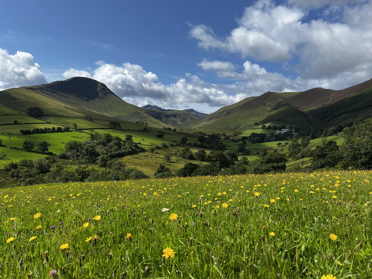 I’ve had a great day doing some Higher Level Stewardship scheme aftercare visits in the beautiful Lake District.

#agrienvironment #LakeDistrict