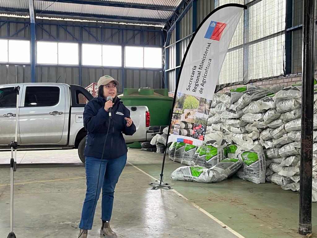 MinagriMaule's tweet photo. 🐑🍀Con alcalde José Miguel Tobar en #Pencahue📍 en plan #AyudasTempranas de @GobiernoCl entregando alimentación animal para productores NO INDAP✅Son 38 agricultores y agricultoras beneficiados, con 380 sacos de cubos de alfalfa para atender 491 animales. Equivale a $4.509.510 https://t.co/n1vWyBII5F
