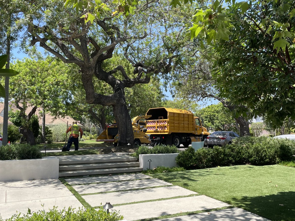 Well done <a href="/MyLA311/">Los Angeles 311</a>  I reported a downed tree limb and you had it cleaned up in an HOUR! Keep up the great work!