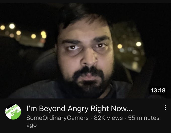 those birds when the pigs stole the eggs