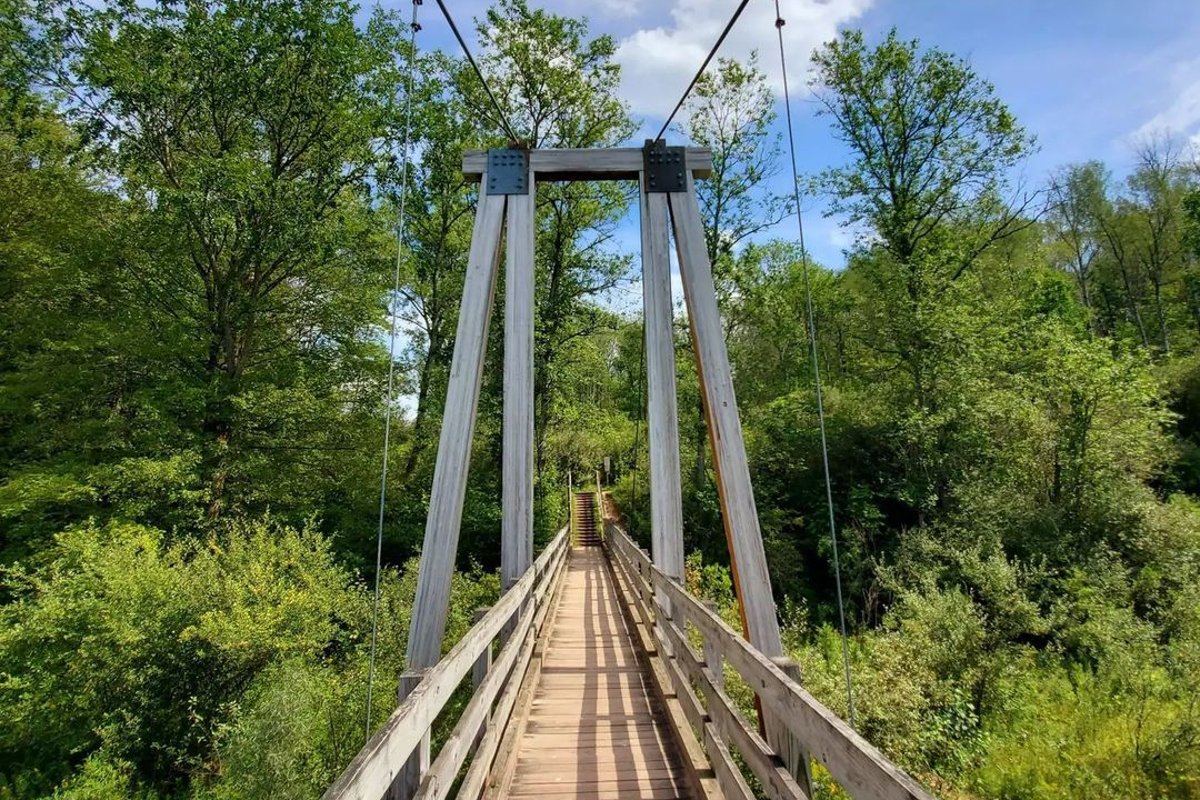 awesomemitten's tweet image. &quot;The suspension bridge... is absolutely beautiful. If you have a chance to explore at night, this entire area is even more magical!&quot; awesomemitten.com/little-mac-bri…

photo via g.h.paddock on IG #mittenlove #awesomemitten #puremichigan #littlemac #mesick