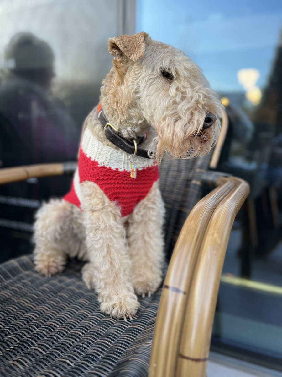 This tickled me do they not realise that ….. I’m REAL?! ……. Interesting reading💋

**Bertie Lakeland: A Journey of Adventure and Imagination**

In the realm of literature and storytelling, certain characters become timeless icons, capturing the hearts and minds of readers