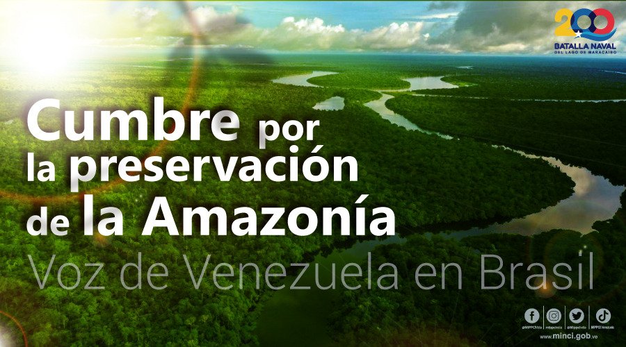 yeritza nunez tweet media