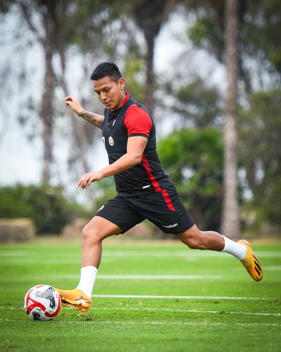Universitario's tweet photo. 𝙍𝙀𝙂𝙍𝙀𝙎𝘼𝙈𝙊𝙎 𝘾𝙊𝙉 𝙁𝙐𝙀𝙍𝙕𝘼 💪

Las mejores postales de nuestro primer entrenamiento de la semana.

#UnaHistoriaDePrimera
#ConLaUHastaElFinal https://t.co/RDWcbo7UxL