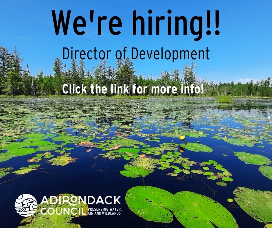 JohnSheehanAC's tweet photo. Job Opening at @adk_council  https://t.co/MJ3o1WGWiU https://t.co/O86c0isqL1