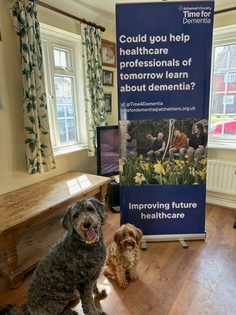 Time4Dementia's tweet photo. Its #NationalDogDay what are you plans for this #bankholiday #weekend? Ours include long #dogwalks #relaxation #WorkFreeWeekend #swimming #eatingout #cycling #Rowing #sleeping #livingwithdementia #wellbeing #TakeABreak #DogsonTwitter #doglife #pettherapy https://t.co/HEBiIjMOSx