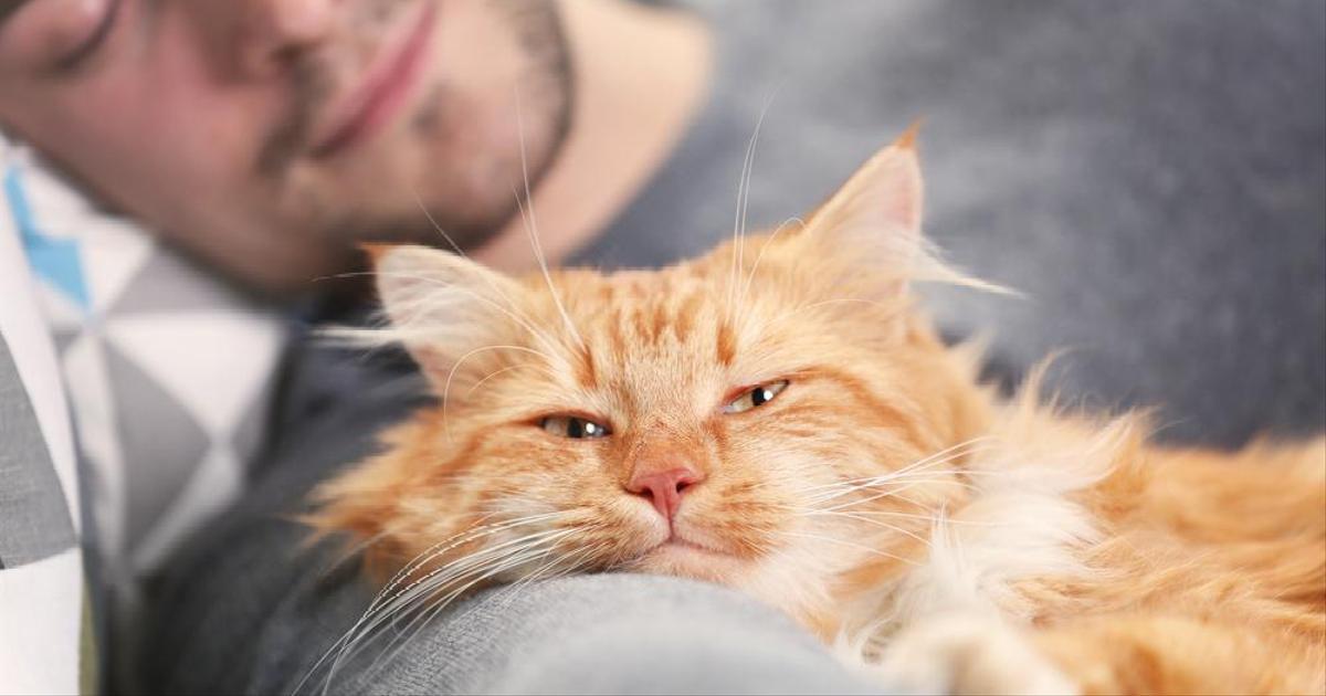 psychologiesrus's tweet image. Если вам показалось, что вы отлично выспались, то уже не важно, так ли это было на самом деле. И вот почему!

#сновидения #сон #бессонница

vk.cc/cq1zeV