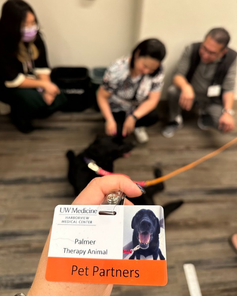 harborviewmc's tweet photo. New badge β
Palmer and his human came by our badging office to pick up an official Harborview badge π We are grateful for our Pet Therapy Partners and their humans for spending quality time with our staff.
#PetTherapy #PetPartner https://t.co/NLAeCBd1LE