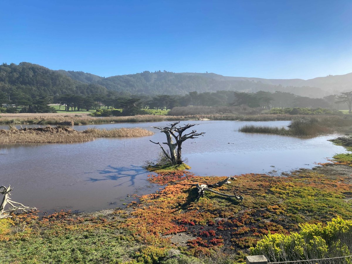 mchen6917's tweet photo. "Nature always wears the colors of the spirit."
–Ralph Waldo Emerson https://t.co/hnGizZCPQR