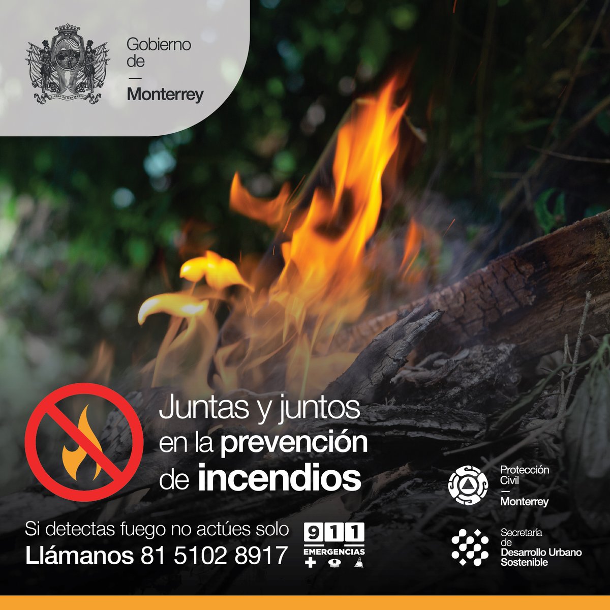 pc_mty's tweet photo. La #Prevención es trabajo de todos y todas.
En caso de emergencias llama al 81-51-02-89-17☎️
¡Ahora prevenimos juntas y juntos! 🤝
#PrevenciónDeIncendios #ProtecciónCivilMonterrey #PCMty #PrevenirRecompensa https://t.co/tajtONEwW3